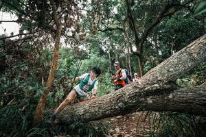 BIB: 
                            <button type="button" onclick="openModal(25532268)" class="btn btn-primary btn-sm float-right btn-popup" data-toggle="modal" data-target=".modal-high-quality">
                        <i class="fas fa-shopping-cart"></i> Add to Cart
                    </button>
                                            <button type="button" onclick="isThisMe(25532268, true)" class="btn btn-success btn-sm float-right btn-popup btn-isme hidden" data-toggle="tooltip" data-placement="bottom" title="นี่คือรูปของคุณใช่ไหม คลิกที่นี่เพื่อเอาเข้าอัลบั้ม">
                        <i class="fas fa-plus"></i> Add to album
                    </button>
                    <button type="button" onclick="isThisMe(25532268, false)" class="btn btn-warning btn-sm float-right btn-popup btn-isnotme hidden">
                        <i class="fas fa-ban"></i> Remove from album
                    </button>