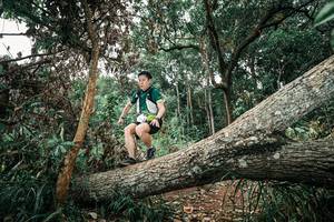 BIB: 
                            <button type="button" onclick="openModal(25540300)" class="btn btn-primary btn-sm float-right btn-popup" data-toggle="modal" data-target=".modal-high-quality">
                        <i class="fas fa-shopping-cart"></i> Add to Cart
                    </button>
                                            <button type="button" onclick="isThisMe(25540300, true)" class="btn btn-success btn-sm float-right btn-popup btn-isme hidden" data-toggle="tooltip" data-placement="bottom" title="นี่คือรูปของคุณใช่ไหม คลิกที่นี่เพื่อเอาเข้าอัลบั้ม">
                        <i class="fas fa-plus"></i> Add to album
                    </button>
                    <button type="button" onclick="isThisMe(25540300, false)" class="btn btn-warning btn-sm float-right btn-popup btn-isnotme hidden">
                        <i class="fas fa-ban"></i> Remove from album
                    </button>