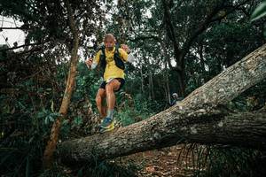 BIB: 
                            <button type="button" onclick="openModal(25550962)" class="btn btn-primary btn-sm float-right btn-popup" data-toggle="modal" data-target=".modal-high-quality">
                        <i class="fas fa-shopping-cart"></i> Add to Cart
                    </button>
                                            <button type="button" onclick="isThisMe(25550962, true)" class="btn btn-success btn-sm float-right btn-popup btn-isme hidden" data-toggle="tooltip" data-placement="bottom" title="นี่คือรูปของคุณใช่ไหม คลิกที่นี่เพื่อเอาเข้าอัลบั้ม">
                        <i class="fas fa-plus"></i> Add to album
                    </button>
                    <button type="button" onclick="isThisMe(25550962, false)" class="btn btn-warning btn-sm float-right btn-popup btn-isnotme hidden">
                        <i class="fas fa-ban"></i> Remove from album
                    </button>