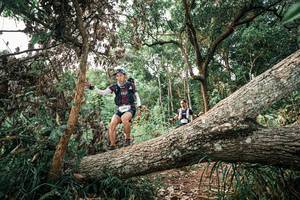 BIB: 
                            <button type="button" onclick="openModal(25529309)" class="btn btn-primary btn-sm float-right btn-popup" data-toggle="modal" data-target=".modal-high-quality">
                        <i class="fas fa-shopping-cart"></i> Add to Cart
                    </button>
                                            <button type="button" onclick="isThisMe(25529309, true)" class="btn btn-success btn-sm float-right btn-popup btn-isme hidden" data-toggle="tooltip" data-placement="bottom" title="นี่คือรูปของคุณใช่ไหม คลิกที่นี่เพื่อเอาเข้าอัลบั้ม">
                        <i class="fas fa-plus"></i> Add to album
                    </button>
                    <button type="button" onclick="isThisMe(25529309, false)" class="btn btn-warning btn-sm float-right btn-popup btn-isnotme hidden">
                        <i class="fas fa-ban"></i> Remove from album
                    </button>