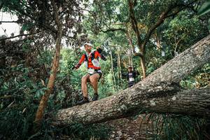 BIB: 
                            <button type="button" onclick="openModal(25526817)" class="btn btn-primary btn-sm float-right btn-popup" data-toggle="modal" data-target=".modal-high-quality">
                        <i class="fas fa-shopping-cart"></i> Add to Cart
                    </button>
                                            <button type="button" onclick="isThisMe(25526817, true)" class="btn btn-success btn-sm float-right btn-popup btn-isme hidden" data-toggle="tooltip" data-placement="bottom" title="นี่คือรูปของคุณใช่ไหม คลิกที่นี่เพื่อเอาเข้าอัลบั้ม">
                        <i class="fas fa-plus"></i> Add to album
                    </button>
                    <button type="button" onclick="isThisMe(25526817, false)" class="btn btn-warning btn-sm float-right btn-popup btn-isnotme hidden">
                        <i class="fas fa-ban"></i> Remove from album
                    </button>