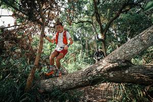 BIB: 
                            <button type="button" onclick="openModal(25534531)" class="btn btn-primary btn-sm float-right btn-popup" data-toggle="modal" data-target=".modal-high-quality">
                        <i class="fas fa-shopping-cart"></i> Add to Cart
                    </button>
                                            <button type="button" onclick="isThisMe(25534531, true)" class="btn btn-success btn-sm float-right btn-popup btn-isme hidden" data-toggle="tooltip" data-placement="bottom" title="นี่คือรูปของคุณใช่ไหม คลิกที่นี่เพื่อเอาเข้าอัลบั้ม">
                        <i class="fas fa-plus"></i> Add to album
                    </button>
                    <button type="button" onclick="isThisMe(25534531, false)" class="btn btn-warning btn-sm float-right btn-popup btn-isnotme hidden">
                        <i class="fas fa-ban"></i> Remove from album
                    </button>