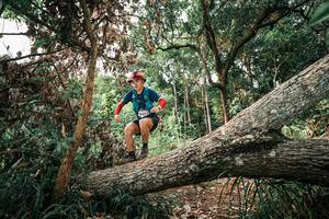 BIB: 
                            <button type="button" onclick="openModal(25532095)" class="btn btn-primary btn-sm float-right btn-popup" data-toggle="modal" data-target=".modal-high-quality">
                        <i class="fas fa-shopping-cart"></i> Add to Cart
                    </button>
                                            <button type="button" onclick="isThisMe(25532095, true)" class="btn btn-success btn-sm float-right btn-popup btn-isme hidden" data-toggle="tooltip" data-placement="bottom" title="นี่คือรูปของคุณใช่ไหม คลิกที่นี่เพื่อเอาเข้าอัลบั้ม">
                        <i class="fas fa-plus"></i> Add to album
                    </button>
                    <button type="button" onclick="isThisMe(25532095, false)" class="btn btn-warning btn-sm float-right btn-popup btn-isnotme hidden">
                        <i class="fas fa-ban"></i> Remove from album
                    </button>