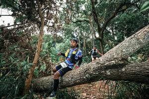 BIB: 
                            <button type="button" onclick="openModal(25544823)" class="btn btn-primary btn-sm float-right btn-popup" data-toggle="modal" data-target=".modal-high-quality">
                        <i class="fas fa-shopping-cart"></i> Add to Cart
                    </button>
                                            <button type="button" onclick="isThisMe(25544823, true)" class="btn btn-success btn-sm float-right btn-popup btn-isme hidden" data-toggle="tooltip" data-placement="bottom" title="นี่คือรูปของคุณใช่ไหม คลิกที่นี่เพื่อเอาเข้าอัลบั้ม">
                        <i class="fas fa-plus"></i> Add to album
                    </button>
                    <button type="button" onclick="isThisMe(25544823, false)" class="btn btn-warning btn-sm float-right btn-popup btn-isnotme hidden">
                        <i class="fas fa-ban"></i> Remove from album
                    </button>