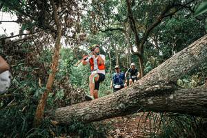 BIB: 
                            <button type="button" onclick="openModal(25531496)" class="btn btn-primary btn-sm float-right btn-popup" data-toggle="modal" data-target=".modal-high-quality">
                        <i class="fas fa-shopping-cart"></i> Add to Cart
                    </button>
                                            <button type="button" onclick="isThisMe(25531496, true)" class="btn btn-success btn-sm float-right btn-popup btn-isme hidden" data-toggle="tooltip" data-placement="bottom" title="นี่คือรูปของคุณใช่ไหม คลิกที่นี่เพื่อเอาเข้าอัลบั้ม">
                        <i class="fas fa-plus"></i> Add to album
                    </button>
                    <button type="button" onclick="isThisMe(25531496, false)" class="btn btn-warning btn-sm float-right btn-popup btn-isnotme hidden">
                        <i class="fas fa-ban"></i> Remove from album
                    </button>