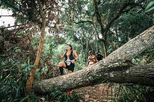 BIB: 
                            <button type="button" onclick="openModal(25540983)" class="btn btn-primary btn-sm float-right btn-popup" data-toggle="modal" data-target=".modal-high-quality">
                        <i class="fas fa-shopping-cart"></i> Add to Cart
                    </button>
                                            <button type="button" onclick="isThisMe(25540983, true)" class="btn btn-success btn-sm float-right btn-popup btn-isme hidden" data-toggle="tooltip" data-placement="bottom" title="นี่คือรูปของคุณใช่ไหม คลิกที่นี่เพื่อเอาเข้าอัลบั้ม">
                        <i class="fas fa-plus"></i> Add to album
                    </button>
                    <button type="button" onclick="isThisMe(25540983, false)" class="btn btn-warning btn-sm float-right btn-popup btn-isnotme hidden">
                        <i class="fas fa-ban"></i> Remove from album
                    </button>