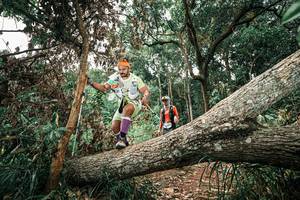 BIB: 
                            <button type="button" onclick="openModal(25544735)" class="btn btn-primary btn-sm float-right btn-popup" data-toggle="modal" data-target=".modal-high-quality">
                        <i class="fas fa-shopping-cart"></i> Add to Cart
                    </button>
                                            <button type="button" onclick="isThisMe(25544735, true)" class="btn btn-success btn-sm float-right btn-popup btn-isme hidden" data-toggle="tooltip" data-placement="bottom" title="นี่คือรูปของคุณใช่ไหม คลิกที่นี่เพื่อเอาเข้าอัลบั้ม">
                        <i class="fas fa-plus"></i> Add to album
                    </button>
                    <button type="button" onclick="isThisMe(25544735, false)" class="btn btn-warning btn-sm float-right btn-popup btn-isnotme hidden">
                        <i class="fas fa-ban"></i> Remove from album
                    </button>