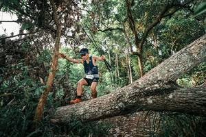 BIB: 
                            <button type="button" onclick="openModal(25527575)" class="btn btn-primary btn-sm float-right btn-popup" data-toggle="modal" data-target=".modal-high-quality">
                        <i class="fas fa-shopping-cart"></i> Add to Cart
                    </button>
                                            <button type="button" onclick="isThisMe(25527575, true)" class="btn btn-success btn-sm float-right btn-popup btn-isme hidden" data-toggle="tooltip" data-placement="bottom" title="นี่คือรูปของคุณใช่ไหม คลิกที่นี่เพื่อเอาเข้าอัลบั้ม">
                        <i class="fas fa-plus"></i> Add to album
                    </button>
                    <button type="button" onclick="isThisMe(25527575, false)" class="btn btn-warning btn-sm float-right btn-popup btn-isnotme hidden">
                        <i class="fas fa-ban"></i> Remove from album
                    </button>