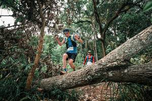 BIB: 
                            <button type="button" onclick="openModal(25530110)" class="btn btn-primary btn-sm float-right btn-popup" data-toggle="modal" data-target=".modal-high-quality">
                        <i class="fas fa-shopping-cart"></i> Add to Cart
                    </button>
                                            <button type="button" onclick="isThisMe(25530110, true)" class="btn btn-success btn-sm float-right btn-popup btn-isme hidden" data-toggle="tooltip" data-placement="bottom" title="นี่คือรูปของคุณใช่ไหม คลิกที่นี่เพื่อเอาเข้าอัลบั้ม">
                        <i class="fas fa-plus"></i> Add to album
                    </button>
                    <button type="button" onclick="isThisMe(25530110, false)" class="btn btn-warning btn-sm float-right btn-popup btn-isnotme hidden">
                        <i class="fas fa-ban"></i> Remove from album
                    </button>