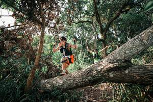 BIB: 
                            <button type="button" onclick="openModal(25534948)" class="btn btn-primary btn-sm float-right btn-popup" data-toggle="modal" data-target=".modal-high-quality">
                        <i class="fas fa-shopping-cart"></i> Add to Cart
                    </button>
                                            <button type="button" onclick="isThisMe(25534948, true)" class="btn btn-success btn-sm float-right btn-popup btn-isme hidden" data-toggle="tooltip" data-placement="bottom" title="นี่คือรูปของคุณใช่ไหม คลิกที่นี่เพื่อเอาเข้าอัลบั้ม">
                        <i class="fas fa-plus"></i> Add to album
                    </button>
                    <button type="button" onclick="isThisMe(25534948, false)" class="btn btn-warning btn-sm float-right btn-popup btn-isnotme hidden">
                        <i class="fas fa-ban"></i> Remove from album
                    </button>