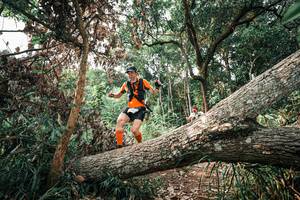 BIB: 
                            <button type="button" onclick="openModal(25533741)" class="btn btn-primary btn-sm float-right btn-popup" data-toggle="modal" data-target=".modal-high-quality">
                        <i class="fas fa-shopping-cart"></i> Add to Cart
                    </button>
                                            <button type="button" onclick="isThisMe(25533741, true)" class="btn btn-success btn-sm float-right btn-popup btn-isme hidden" data-toggle="tooltip" data-placement="bottom" title="นี่คือรูปของคุณใช่ไหม คลิกที่นี่เพื่อเอาเข้าอัลบั้ม">
                        <i class="fas fa-plus"></i> Add to album
                    </button>
                    <button type="button" onclick="isThisMe(25533741, false)" class="btn btn-warning btn-sm float-right btn-popup btn-isnotme hidden">
                        <i class="fas fa-ban"></i> Remove from album
                    </button>