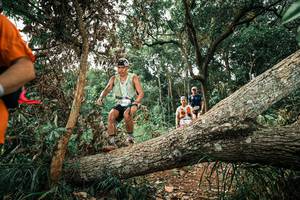 BIB: 
                            <button type="button" onclick="openModal(25538949)" class="btn btn-primary btn-sm float-right btn-popup" data-toggle="modal" data-target=".modal-high-quality">
                        <i class="fas fa-shopping-cart"></i> Add to Cart
                    </button>
                                            <button type="button" onclick="isThisMe(25538949, true)" class="btn btn-success btn-sm float-right btn-popup btn-isme hidden" data-toggle="tooltip" data-placement="bottom" title="นี่คือรูปของคุณใช่ไหม คลิกที่นี่เพื่อเอาเข้าอัลบั้ม">
                        <i class="fas fa-plus"></i> Add to album
                    </button>
                    <button type="button" onclick="isThisMe(25538949, false)" class="btn btn-warning btn-sm float-right btn-popup btn-isnotme hidden">
                        <i class="fas fa-ban"></i> Remove from album
                    </button>