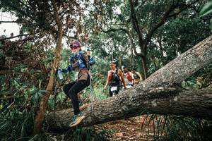 BIB: 
                            <button type="button" onclick="openModal(25548170)" class="btn btn-primary btn-sm float-right btn-popup" data-toggle="modal" data-target=".modal-high-quality">
                        <i class="fas fa-shopping-cart"></i> Add to Cart
                    </button>
                                            <button type="button" onclick="isThisMe(25548170, true)" class="btn btn-success btn-sm float-right btn-popup btn-isme hidden" data-toggle="tooltip" data-placement="bottom" title="นี่คือรูปของคุณใช่ไหม คลิกที่นี่เพื่อเอาเข้าอัลบั้ม">
                        <i class="fas fa-plus"></i> Add to album
                    </button>
                    <button type="button" onclick="isThisMe(25548170, false)" class="btn btn-warning btn-sm float-right btn-popup btn-isnotme hidden">
                        <i class="fas fa-ban"></i> Remove from album
                    </button>