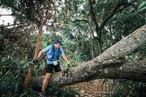 BIB: 
                            <button type="button" onclick="openModal(25541217)" class="btn btn-primary btn-sm float-right btn-popup" data-toggle="modal" data-target=".modal-high-quality">
                        <i class="fas fa-shopping-cart"></i> Add to Cart
                    </button>
                                            <button type="button" onclick="isThisMe(25541217, true)" class="btn btn-success btn-sm float-right btn-popup btn-isme hidden" data-toggle="tooltip" data-placement="bottom" title="นี่คือรูปของคุณใช่ไหม คลิกที่นี่เพื่อเอาเข้าอัลบั้ม">
                        <i class="fas fa-plus"></i> Add to album
                    </button>
                    <button type="button" onclick="isThisMe(25541217, false)" class="btn btn-warning btn-sm float-right btn-popup btn-isnotme hidden">
                        <i class="fas fa-ban"></i> Remove from album
                    </button>