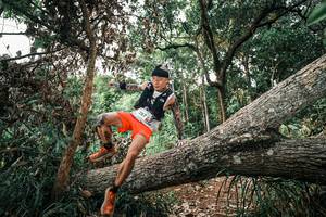 BIB: 
                            <button type="button" onclick="openModal(25533733)" class="btn btn-primary btn-sm float-right btn-popup" data-toggle="modal" data-target=".modal-high-quality">
                        <i class="fas fa-shopping-cart"></i> Add to Cart
                    </button>
                                            <button type="button" onclick="isThisMe(25533733, true)" class="btn btn-success btn-sm float-right btn-popup btn-isme hidden" data-toggle="tooltip" data-placement="bottom" title="นี่คือรูปของคุณใช่ไหม คลิกที่นี่เพื่อเอาเข้าอัลบั้ม">
                        <i class="fas fa-plus"></i> Add to album
                    </button>
                    <button type="button" onclick="isThisMe(25533733, false)" class="btn btn-warning btn-sm float-right btn-popup btn-isnotme hidden">
                        <i class="fas fa-ban"></i> Remove from album
                    </button>