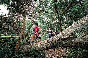 BIB: 
                            <button type="button" onclick="openModal(25529468)" class="btn btn-primary btn-sm float-right btn-popup" data-toggle="modal" data-target=".modal-high-quality">
                        <i class="fas fa-shopping-cart"></i> Add to Cart
                    </button>
                                            <button type="button" onclick="isThisMe(25529468, true)" class="btn btn-success btn-sm float-right btn-popup btn-isme hidden" data-toggle="tooltip" data-placement="bottom" title="นี่คือรูปของคุณใช่ไหม คลิกที่นี่เพื่อเอาเข้าอัลบั้ม">
                        <i class="fas fa-plus"></i> Add to album
                    </button>
                    <button type="button" onclick="isThisMe(25529468, false)" class="btn btn-warning btn-sm float-right btn-popup btn-isnotme hidden">
                        <i class="fas fa-ban"></i> Remove from album
                    </button>