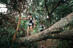 BIB: 
                            <button type="button" onclick="openModal(25537047)" class="btn btn-primary btn-sm float-right btn-popup" data-toggle="modal" data-target=".modal-high-quality">
                        <i class="fas fa-shopping-cart"></i> Add to Cart
                    </button>
                                            <button type="button" onclick="isThisMe(25537047, true)" class="btn btn-success btn-sm float-right btn-popup btn-isme hidden" data-toggle="tooltip" data-placement="bottom" title="นี่คือรูปของคุณใช่ไหม คลิกที่นี่เพื่อเอาเข้าอัลบั้ม">
                        <i class="fas fa-plus"></i> Add to album
                    </button>
                    <button type="button" onclick="isThisMe(25537047, false)" class="btn btn-warning btn-sm float-right btn-popup btn-isnotme hidden">
                        <i class="fas fa-ban"></i> Remove from album
                    </button>