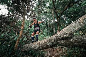 BIB: 
                            <button type="button" onclick="openModal(25528338)" class="btn btn-primary btn-sm float-right btn-popup" data-toggle="modal" data-target=".modal-high-quality">
                        <i class="fas fa-shopping-cart"></i> Add to Cart
                    </button>
                                            <button type="button" onclick="isThisMe(25528338, true)" class="btn btn-success btn-sm float-right btn-popup btn-isme hidden" data-toggle="tooltip" data-placement="bottom" title="นี่คือรูปของคุณใช่ไหม คลิกที่นี่เพื่อเอาเข้าอัลบั้ม">
                        <i class="fas fa-plus"></i> Add to album
                    </button>
                    <button type="button" onclick="isThisMe(25528338, false)" class="btn btn-warning btn-sm float-right btn-popup btn-isnotme hidden">
                        <i class="fas fa-ban"></i> Remove from album
                    </button>