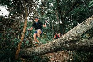 BIB: 
                            <button type="button" onclick="openModal(25552045)" class="btn btn-primary btn-sm float-right btn-popup" data-toggle="modal" data-target=".modal-high-quality">
                        <i class="fas fa-shopping-cart"></i> Add to Cart
                    </button>
                                            <button type="button" onclick="isThisMe(25552045, true)" class="btn btn-success btn-sm float-right btn-popup btn-isme hidden" data-toggle="tooltip" data-placement="bottom" title="นี่คือรูปของคุณใช่ไหม คลิกที่นี่เพื่อเอาเข้าอัลบั้ม">
                        <i class="fas fa-plus"></i> Add to album
                    </button>
                    <button type="button" onclick="isThisMe(25552045, false)" class="btn btn-warning btn-sm float-right btn-popup btn-isnotme hidden">
                        <i class="fas fa-ban"></i> Remove from album
                    </button>