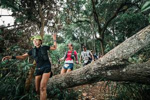 BIB: 
                            <button type="button" onclick="openModal(25538765)" class="btn btn-primary btn-sm float-right btn-popup" data-toggle="modal" data-target=".modal-high-quality">
                        <i class="fas fa-shopping-cart"></i> Add to Cart
                    </button>
                                            <button type="button" onclick="isThisMe(25538765, true)" class="btn btn-success btn-sm float-right btn-popup btn-isme hidden" data-toggle="tooltip" data-placement="bottom" title="นี่คือรูปของคุณใช่ไหม คลิกที่นี่เพื่อเอาเข้าอัลบั้ม">
                        <i class="fas fa-plus"></i> Add to album
                    </button>
                    <button type="button" onclick="isThisMe(25538765, false)" class="btn btn-warning btn-sm float-right btn-popup btn-isnotme hidden">
                        <i class="fas fa-ban"></i> Remove from album
                    </button>