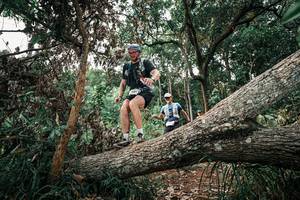 BIB: 
                            <button type="button" onclick="openModal(25531109)" class="btn btn-primary btn-sm float-right btn-popup" data-toggle="modal" data-target=".modal-high-quality">
                        <i class="fas fa-shopping-cart"></i> Add to Cart
                    </button>
                                            <button type="button" onclick="isThisMe(25531109, true)" class="btn btn-success btn-sm float-right btn-popup btn-isme hidden" data-toggle="tooltip" data-placement="bottom" title="นี่คือรูปของคุณใช่ไหม คลิกที่นี่เพื่อเอาเข้าอัลบั้ม">
                        <i class="fas fa-plus"></i> Add to album
                    </button>
                    <button type="button" onclick="isThisMe(25531109, false)" class="btn btn-warning btn-sm float-right btn-popup btn-isnotme hidden">
                        <i class="fas fa-ban"></i> Remove from album
                    </button>