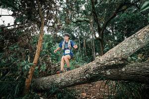 BIB: 
                            <button type="button" onclick="openModal(25543935)" class="btn btn-primary btn-sm float-right btn-popup" data-toggle="modal" data-target=".modal-high-quality">
                        <i class="fas fa-shopping-cart"></i> Add to Cart
                    </button>
                                            <button type="button" onclick="isThisMe(25543935, true)" class="btn btn-success btn-sm float-right btn-popup btn-isme hidden" data-toggle="tooltip" data-placement="bottom" title="นี่คือรูปของคุณใช่ไหม คลิกที่นี่เพื่อเอาเข้าอัลบั้ม">
                        <i class="fas fa-plus"></i> Add to album
                    </button>
                    <button type="button" onclick="isThisMe(25543935, false)" class="btn btn-warning btn-sm float-right btn-popup btn-isnotme hidden">
                        <i class="fas fa-ban"></i> Remove from album
                    </button>