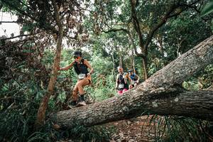 BIB: 
                            <button type="button" onclick="openModal(25533382)" class="btn btn-primary btn-sm float-right btn-popup" data-toggle="modal" data-target=".modal-high-quality">
                        <i class="fas fa-shopping-cart"></i> Add to Cart
                    </button>
                                            <button type="button" onclick="isThisMe(25533382, true)" class="btn btn-success btn-sm float-right btn-popup btn-isme hidden" data-toggle="tooltip" data-placement="bottom" title="นี่คือรูปของคุณใช่ไหม คลิกที่นี่เพื่อเอาเข้าอัลบั้ม">
                        <i class="fas fa-plus"></i> Add to album
                    </button>
                    <button type="button" onclick="isThisMe(25533382, false)" class="btn btn-warning btn-sm float-right btn-popup btn-isnotme hidden">
                        <i class="fas fa-ban"></i> Remove from album
                    </button>