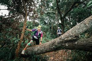 BIB: 
                            <button type="button" onclick="openModal(25546084)" class="btn btn-primary btn-sm float-right btn-popup" data-toggle="modal" data-target=".modal-high-quality">
                        <i class="fas fa-shopping-cart"></i> Add to Cart
                    </button>
                                            <button type="button" onclick="isThisMe(25546084, true)" class="btn btn-success btn-sm float-right btn-popup btn-isme hidden" data-toggle="tooltip" data-placement="bottom" title="นี่คือรูปของคุณใช่ไหม คลิกที่นี่เพื่อเอาเข้าอัลบั้ม">
                        <i class="fas fa-plus"></i> Add to album
                    </button>
                    <button type="button" onclick="isThisMe(25546084, false)" class="btn btn-warning btn-sm float-right btn-popup btn-isnotme hidden">
                        <i class="fas fa-ban"></i> Remove from album
                    </button>