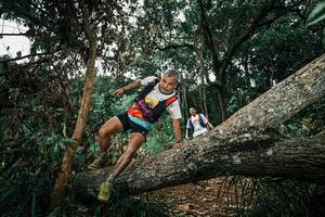 BIB: 
                            <button type="button" onclick="openModal(25551288)" class="btn btn-primary btn-sm float-right btn-popup" data-toggle="modal" data-target=".modal-high-quality">
                        <i class="fas fa-shopping-cart"></i> Add to Cart
                    </button>
                                            <button type="button" onclick="isThisMe(25551288, true)" class="btn btn-success btn-sm float-right btn-popup btn-isme hidden" data-toggle="tooltip" data-placement="bottom" title="นี่คือรูปของคุณใช่ไหม คลิกที่นี่เพื่อเอาเข้าอัลบั้ม">
                        <i class="fas fa-plus"></i> Add to album
                    </button>
                    <button type="button" onclick="isThisMe(25551288, false)" class="btn btn-warning btn-sm float-right btn-popup btn-isnotme hidden">
                        <i class="fas fa-ban"></i> Remove from album
                    </button>