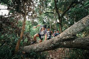 BIB: 
                            <button type="button" onclick="openModal(25532825)" class="btn btn-primary btn-sm float-right btn-popup" data-toggle="modal" data-target=".modal-high-quality">
                        <i class="fas fa-shopping-cart"></i> Add to Cart
                    </button>
                                            <button type="button" onclick="isThisMe(25532825, true)" class="btn btn-success btn-sm float-right btn-popup btn-isme hidden" data-toggle="tooltip" data-placement="bottom" title="นี่คือรูปของคุณใช่ไหม คลิกที่นี่เพื่อเอาเข้าอัลบั้ม">
                        <i class="fas fa-plus"></i> Add to album
                    </button>
                    <button type="button" onclick="isThisMe(25532825, false)" class="btn btn-warning btn-sm float-right btn-popup btn-isnotme hidden">
                        <i class="fas fa-ban"></i> Remove from album
                    </button>