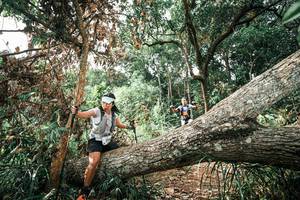 BIB: 
                            <button type="button" onclick="openModal(25543345)" class="btn btn-primary btn-sm float-right btn-popup" data-toggle="modal" data-target=".modal-high-quality">
                        <i class="fas fa-shopping-cart"></i> Add to Cart
                    </button>
                                            <button type="button" onclick="isThisMe(25543345, true)" class="btn btn-success btn-sm float-right btn-popup btn-isme hidden" data-toggle="tooltip" data-placement="bottom" title="นี่คือรูปของคุณใช่ไหม คลิกที่นี่เพื่อเอาเข้าอัลบั้ม">
                        <i class="fas fa-plus"></i> Add to album
                    </button>
                    <button type="button" onclick="isThisMe(25543345, false)" class="btn btn-warning btn-sm float-right btn-popup btn-isnotme hidden">
                        <i class="fas fa-ban"></i> Remove from album
                    </button>