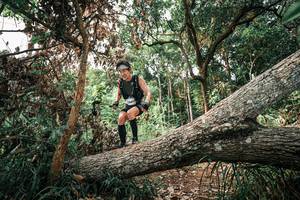 BIB: 
                            <button type="button" onclick="openModal(25532056)" class="btn btn-primary btn-sm float-right btn-popup" data-toggle="modal" data-target=".modal-high-quality">
                        <i class="fas fa-shopping-cart"></i> Add to Cart
                    </button>
                                            <button type="button" onclick="isThisMe(25532056, true)" class="btn btn-success btn-sm float-right btn-popup btn-isme hidden" data-toggle="tooltip" data-placement="bottom" title="นี่คือรูปของคุณใช่ไหม คลิกที่นี่เพื่อเอาเข้าอัลบั้ม">
                        <i class="fas fa-plus"></i> Add to album
                    </button>
                    <button type="button" onclick="isThisMe(25532056, false)" class="btn btn-warning btn-sm float-right btn-popup btn-isnotme hidden">
                        <i class="fas fa-ban"></i> Remove from album
                    </button>