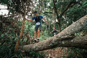 BIB: 
                            <button type="button" onclick="openModal(25530378)" class="btn btn-primary btn-sm float-right btn-popup" data-toggle="modal" data-target=".modal-high-quality">
                        <i class="fas fa-shopping-cart"></i> Add to Cart
                    </button>
                                            <button type="button" onclick="isThisMe(25530378, true)" class="btn btn-success btn-sm float-right btn-popup btn-isme hidden" data-toggle="tooltip" data-placement="bottom" title="นี่คือรูปของคุณใช่ไหม คลิกที่นี่เพื่อเอาเข้าอัลบั้ม">
                        <i class="fas fa-plus"></i> Add to album
                    </button>
                    <button type="button" onclick="isThisMe(25530378, false)" class="btn btn-warning btn-sm float-right btn-popup btn-isnotme hidden">
                        <i class="fas fa-ban"></i> Remove from album
                    </button>