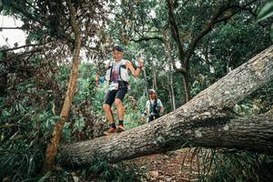 BIB: 
                            <button type="button" onclick="openModal(25543067)" class="btn btn-primary btn-sm float-right btn-popup" data-toggle="modal" data-target=".modal-high-quality">
                        <i class="fas fa-shopping-cart"></i> Add to Cart
                    </button>
                                            <button type="button" onclick="isThisMe(25543067, true)" class="btn btn-success btn-sm float-right btn-popup btn-isme hidden" data-toggle="tooltip" data-placement="bottom" title="นี่คือรูปของคุณใช่ไหม คลิกที่นี่เพื่อเอาเข้าอัลบั้ม">
                        <i class="fas fa-plus"></i> Add to album
                    </button>
                    <button type="button" onclick="isThisMe(25543067, false)" class="btn btn-warning btn-sm float-right btn-popup btn-isnotme hidden">
                        <i class="fas fa-ban"></i> Remove from album
                    </button>