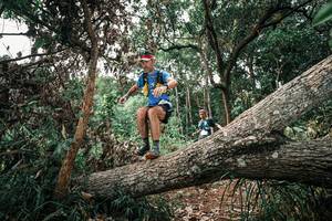 BIB: 
                            <button type="button" onclick="openModal(25529824)" class="btn btn-primary btn-sm float-right btn-popup" data-toggle="modal" data-target=".modal-high-quality">
                        <i class="fas fa-shopping-cart"></i> Add to Cart
                    </button>
                                            <button type="button" onclick="isThisMe(25529824, true)" class="btn btn-success btn-sm float-right btn-popup btn-isme hidden" data-toggle="tooltip" data-placement="bottom" title="นี่คือรูปของคุณใช่ไหม คลิกที่นี่เพื่อเอาเข้าอัลบั้ม">
                        <i class="fas fa-plus"></i> Add to album
                    </button>
                    <button type="button" onclick="isThisMe(25529824, false)" class="btn btn-warning btn-sm float-right btn-popup btn-isnotme hidden">
                        <i class="fas fa-ban"></i> Remove from album
                    </button>