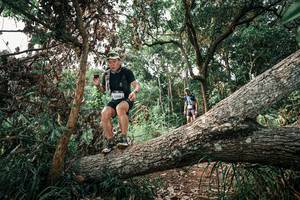 BIB: 
                            <button type="button" onclick="openModal(25533553)" class="btn btn-primary btn-sm float-right btn-popup" data-toggle="modal" data-target=".modal-high-quality">
                        <i class="fas fa-shopping-cart"></i> Add to Cart
                    </button>
                                            <button type="button" onclick="isThisMe(25533553, true)" class="btn btn-success btn-sm float-right btn-popup btn-isme hidden" data-toggle="tooltip" data-placement="bottom" title="นี่คือรูปของคุณใช่ไหม คลิกที่นี่เพื่อเอาเข้าอัลบั้ม">
                        <i class="fas fa-plus"></i> Add to album
                    </button>
                    <button type="button" onclick="isThisMe(25533553, false)" class="btn btn-warning btn-sm float-right btn-popup btn-isnotme hidden">
                        <i class="fas fa-ban"></i> Remove from album
                    </button>