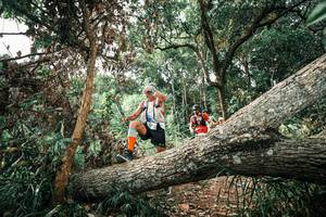 BIB: 
                            <button type="button" onclick="openModal(25543379)" class="btn btn-primary btn-sm float-right btn-popup" data-toggle="modal" data-target=".modal-high-quality">
                        <i class="fas fa-shopping-cart"></i> Add to Cart
                    </button>
                                            <button type="button" onclick="isThisMe(25543379, true)" class="btn btn-success btn-sm float-right btn-popup btn-isme hidden" data-toggle="tooltip" data-placement="bottom" title="นี่คือรูปของคุณใช่ไหม คลิกที่นี่เพื่อเอาเข้าอัลบั้ม">
                        <i class="fas fa-plus"></i> Add to album
                    </button>
                    <button type="button" onclick="isThisMe(25543379, false)" class="btn btn-warning btn-sm float-right btn-popup btn-isnotme hidden">
                        <i class="fas fa-ban"></i> Remove from album
                    </button>