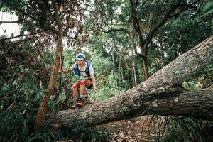 BIB: 
                            <button type="button" onclick="openModal(25531837)" class="btn btn-primary btn-sm float-right btn-popup" data-toggle="modal" data-target=".modal-high-quality">
                        <i class="fas fa-shopping-cart"></i> Add to Cart
                    </button>
                                            <button type="button" onclick="isThisMe(25531837, true)" class="btn btn-success btn-sm float-right btn-popup btn-isme hidden" data-toggle="tooltip" data-placement="bottom" title="นี่คือรูปของคุณใช่ไหม คลิกที่นี่เพื่อเอาเข้าอัลบั้ม">
                        <i class="fas fa-plus"></i> Add to album
                    </button>
                    <button type="button" onclick="isThisMe(25531837, false)" class="btn btn-warning btn-sm float-right btn-popup btn-isnotme hidden">
                        <i class="fas fa-ban"></i> Remove from album
                    </button>