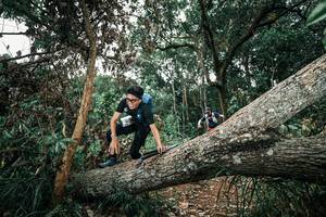 BIB: 
                            <button type="button" onclick="openModal(25541771)" class="btn btn-primary btn-sm float-right btn-popup" data-toggle="modal" data-target=".modal-high-quality">
                        <i class="fas fa-shopping-cart"></i> Add to Cart
                    </button>
                                            <button type="button" onclick="isThisMe(25541771, true)" class="btn btn-success btn-sm float-right btn-popup btn-isme hidden" data-toggle="tooltip" data-placement="bottom" title="นี่คือรูปของคุณใช่ไหม คลิกที่นี่เพื่อเอาเข้าอัลบั้ม">
                        <i class="fas fa-plus"></i> Add to album
                    </button>
                    <button type="button" onclick="isThisMe(25541771, false)" class="btn btn-warning btn-sm float-right btn-popup btn-isnotme hidden">
                        <i class="fas fa-ban"></i> Remove from album
                    </button>