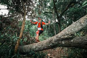 BIB: 
                            <button type="button" onclick="openModal(25538561)" class="btn btn-primary btn-sm float-right btn-popup" data-toggle="modal" data-target=".modal-high-quality">
                        <i class="fas fa-shopping-cart"></i> Add to Cart
                    </button>
                                            <button type="button" onclick="isThisMe(25538561, true)" class="btn btn-success btn-sm float-right btn-popup btn-isme hidden" data-toggle="tooltip" data-placement="bottom" title="นี่คือรูปของคุณใช่ไหม คลิกที่นี่เพื่อเอาเข้าอัลบั้ม">
                        <i class="fas fa-plus"></i> Add to album
                    </button>
                    <button type="button" onclick="isThisMe(25538561, false)" class="btn btn-warning btn-sm float-right btn-popup btn-isnotme hidden">
                        <i class="fas fa-ban"></i> Remove from album
                    </button>