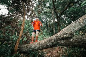 BIB: 
                            <button type="button" onclick="openModal(25545502)" class="btn btn-primary btn-sm float-right btn-popup" data-toggle="modal" data-target=".modal-high-quality">
                        <i class="fas fa-shopping-cart"></i> Add to Cart
                    </button>
                                            <button type="button" onclick="isThisMe(25545502, true)" class="btn btn-success btn-sm float-right btn-popup btn-isme hidden" data-toggle="tooltip" data-placement="bottom" title="นี่คือรูปของคุณใช่ไหม คลิกที่นี่เพื่อเอาเข้าอัลบั้ม">
                        <i class="fas fa-plus"></i> Add to album
                    </button>
                    <button type="button" onclick="isThisMe(25545502, false)" class="btn btn-warning btn-sm float-right btn-popup btn-isnotme hidden">
                        <i class="fas fa-ban"></i> Remove from album
                    </button>