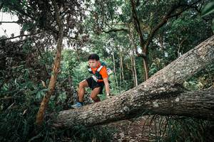 BIB: 
                            <button type="button" onclick="openModal(25527195)" class="btn btn-primary btn-sm float-right btn-popup" data-toggle="modal" data-target=".modal-high-quality">
                        <i class="fas fa-shopping-cart"></i> Add to Cart
                    </button>
                                            <button type="button" onclick="isThisMe(25527195, true)" class="btn btn-success btn-sm float-right btn-popup btn-isme hidden" data-toggle="tooltip" data-placement="bottom" title="นี่คือรูปของคุณใช่ไหม คลิกที่นี่เพื่อเอาเข้าอัลบั้ม">
                        <i class="fas fa-plus"></i> Add to album
                    </button>
                    <button type="button" onclick="isThisMe(25527195, false)" class="btn btn-warning btn-sm float-right btn-popup btn-isnotme hidden">
                        <i class="fas fa-ban"></i> Remove from album
                    </button>