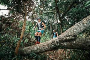 BIB: 
                            <button type="button" onclick="openModal(25539838)" class="btn btn-primary btn-sm float-right btn-popup" data-toggle="modal" data-target=".modal-high-quality">
                        <i class="fas fa-shopping-cart"></i> Add to Cart
                    </button>
                                            <button type="button" onclick="isThisMe(25539838, true)" class="btn btn-success btn-sm float-right btn-popup btn-isme hidden" data-toggle="tooltip" data-placement="bottom" title="นี่คือรูปของคุณใช่ไหม คลิกที่นี่เพื่อเอาเข้าอัลบั้ม">
                        <i class="fas fa-plus"></i> Add to album
                    </button>
                    <button type="button" onclick="isThisMe(25539838, false)" class="btn btn-warning btn-sm float-right btn-popup btn-isnotme hidden">
                        <i class="fas fa-ban"></i> Remove from album
                    </button>