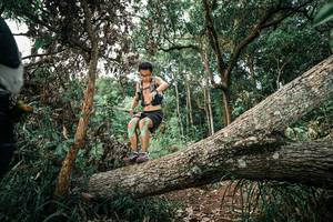 BIB: 
                            <button type="button" onclick="openModal(25528265)" class="btn btn-primary btn-sm float-right btn-popup" data-toggle="modal" data-target=".modal-high-quality">
                        <i class="fas fa-shopping-cart"></i> Add to Cart
                    </button>
                                            <button type="button" onclick="isThisMe(25528265, true)" class="btn btn-success btn-sm float-right btn-popup btn-isme hidden" data-toggle="tooltip" data-placement="bottom" title="นี่คือรูปของคุณใช่ไหม คลิกที่นี่เพื่อเอาเข้าอัลบั้ม">
                        <i class="fas fa-plus"></i> Add to album
                    </button>
                    <button type="button" onclick="isThisMe(25528265, false)" class="btn btn-warning btn-sm float-right btn-popup btn-isnotme hidden">
                        <i class="fas fa-ban"></i> Remove from album
                    </button>