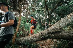 BIB: 
                            <button type="button" onclick="openModal(25540029)" class="btn btn-primary btn-sm float-right btn-popup" data-toggle="modal" data-target=".modal-high-quality">
                        <i class="fas fa-shopping-cart"></i> Add to Cart
                    </button>
                                            <button type="button" onclick="isThisMe(25540029, true)" class="btn btn-success btn-sm float-right btn-popup btn-isme hidden" data-toggle="tooltip" data-placement="bottom" title="นี่คือรูปของคุณใช่ไหม คลิกที่นี่เพื่อเอาเข้าอัลบั้ม">
                        <i class="fas fa-plus"></i> Add to album
                    </button>
                    <button type="button" onclick="isThisMe(25540029, false)" class="btn btn-warning btn-sm float-right btn-popup btn-isnotme hidden">
                        <i class="fas fa-ban"></i> Remove from album
                    </button>