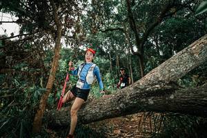 BIB: 
                            <button type="button" onclick="openModal(25551533)" class="btn btn-primary btn-sm float-right btn-popup" data-toggle="modal" data-target=".modal-high-quality">
                        <i class="fas fa-shopping-cart"></i> Add to Cart
                    </button>
                                            <button type="button" onclick="isThisMe(25551533, true)" class="btn btn-success btn-sm float-right btn-popup btn-isme hidden" data-toggle="tooltip" data-placement="bottom" title="นี่คือรูปของคุณใช่ไหม คลิกที่นี่เพื่อเอาเข้าอัลบั้ม">
                        <i class="fas fa-plus"></i> Add to album
                    </button>
                    <button type="button" onclick="isThisMe(25551533, false)" class="btn btn-warning btn-sm float-right btn-popup btn-isnotme hidden">
                        <i class="fas fa-ban"></i> Remove from album
                    </button>