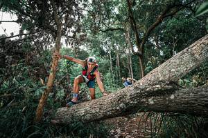 BIB: 
                            <button type="button" onclick="openModal(25528013)" class="btn btn-primary btn-sm float-right btn-popup" data-toggle="modal" data-target=".modal-high-quality">
                        <i class="fas fa-shopping-cart"></i> Add to Cart
                    </button>
                                            <button type="button" onclick="isThisMe(25528013, true)" class="btn btn-success btn-sm float-right btn-popup btn-isme hidden" data-toggle="tooltip" data-placement="bottom" title="นี่คือรูปของคุณใช่ไหม คลิกที่นี่เพื่อเอาเข้าอัลบั้ม">
                        <i class="fas fa-plus"></i> Add to album
                    </button>
                    <button type="button" onclick="isThisMe(25528013, false)" class="btn btn-warning btn-sm float-right btn-popup btn-isnotme hidden">
                        <i class="fas fa-ban"></i> Remove from album
                    </button>