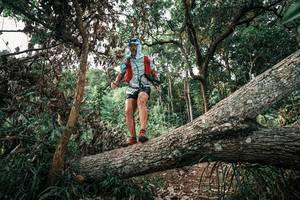 BIB: 
                            <button type="button" onclick="openModal(25533299)" class="btn btn-primary btn-sm float-right btn-popup" data-toggle="modal" data-target=".modal-high-quality">
                        <i class="fas fa-shopping-cart"></i> Add to Cart
                    </button>
                                            <button type="button" onclick="isThisMe(25533299, true)" class="btn btn-success btn-sm float-right btn-popup btn-isme hidden" data-toggle="tooltip" data-placement="bottom" title="นี่คือรูปของคุณใช่ไหม คลิกที่นี่เพื่อเอาเข้าอัลบั้ม">
                        <i class="fas fa-plus"></i> Add to album
                    </button>
                    <button type="button" onclick="isThisMe(25533299, false)" class="btn btn-warning btn-sm float-right btn-popup btn-isnotme hidden">
                        <i class="fas fa-ban"></i> Remove from album
                    </button>