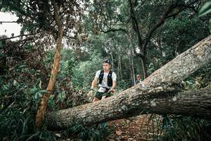 BIB: 
                            <button type="button" onclick="openModal(25538229)" class="btn btn-primary btn-sm float-right btn-popup" data-toggle="modal" data-target=".modal-high-quality">
                        <i class="fas fa-shopping-cart"></i> Add to Cart
                    </button>
                                            <button type="button" onclick="isThisMe(25538229, true)" class="btn btn-success btn-sm float-right btn-popup btn-isme hidden" data-toggle="tooltip" data-placement="bottom" title="นี่คือรูปของคุณใช่ไหม คลิกที่นี่เพื่อเอาเข้าอัลบั้ม">
                        <i class="fas fa-plus"></i> Add to album
                    </button>
                    <button type="button" onclick="isThisMe(25538229, false)" class="btn btn-warning btn-sm float-right btn-popup btn-isnotme hidden">
                        <i class="fas fa-ban"></i> Remove from album
                    </button>