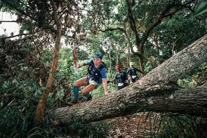 BIB: 
                            <button type="button" onclick="openModal(25532955)" class="btn btn-primary btn-sm float-right btn-popup" data-toggle="modal" data-target=".modal-high-quality">
                        <i class="fas fa-shopping-cart"></i> Add to Cart
                    </button>
                                            <button type="button" onclick="isThisMe(25532955, true)" class="btn btn-success btn-sm float-right btn-popup btn-isme hidden" data-toggle="tooltip" data-placement="bottom" title="นี่คือรูปของคุณใช่ไหม คลิกที่นี่เพื่อเอาเข้าอัลบั้ม">
                        <i class="fas fa-plus"></i> Add to album
                    </button>
                    <button type="button" onclick="isThisMe(25532955, false)" class="btn btn-warning btn-sm float-right btn-popup btn-isnotme hidden">
                        <i class="fas fa-ban"></i> Remove from album
                    </button>